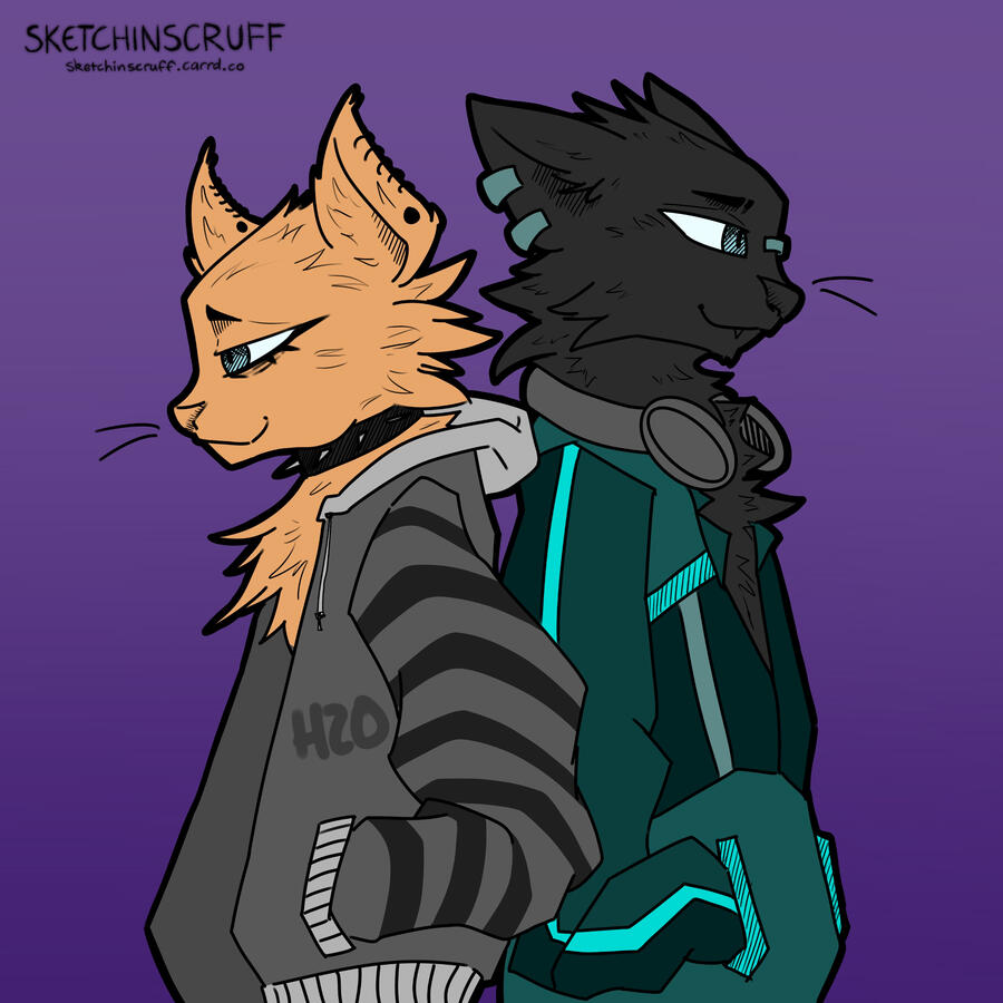 Cat OC&#39;s